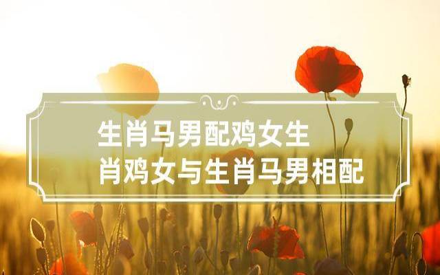 生肖男鸡和生肖女鸡的爱情