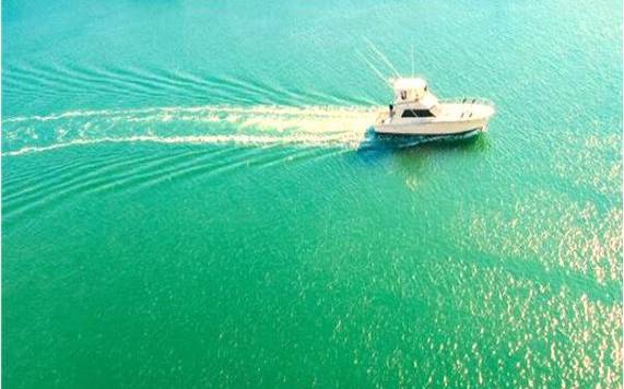 梦见去南方 梦见去南方