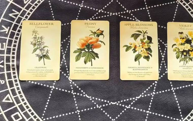 塔罗测算，2022年3月11日运势指引