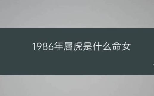 1986年是什么命格,1986年属虎人命运解析 1986年是什么命格,1986年属虎人命运解析