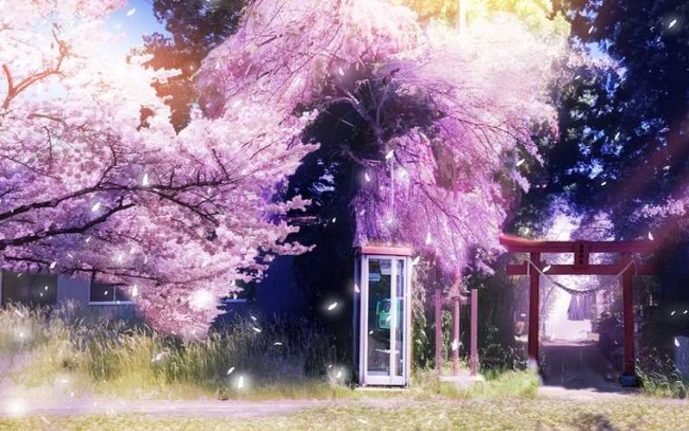 塔罗占卜，你的恋情会如何发展下去