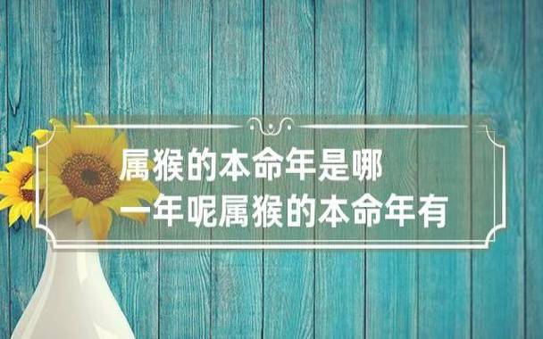 什么叫本命年是指哪一年,2024本命年有什么讲究 什么叫本命年是指哪一年,2024本命年有什么讲究