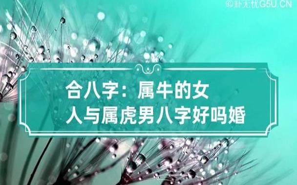 2022年农历正月十八出生的宝宝取名，属虎八字名字