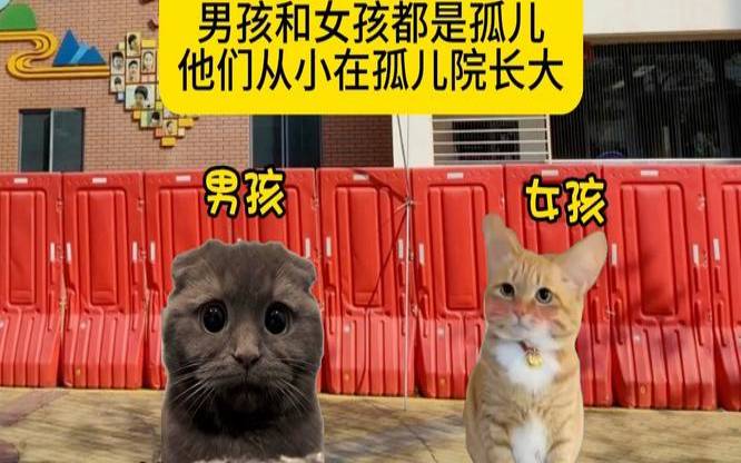 死神逆位爱情会复合么 死神逆位爱情会复合么