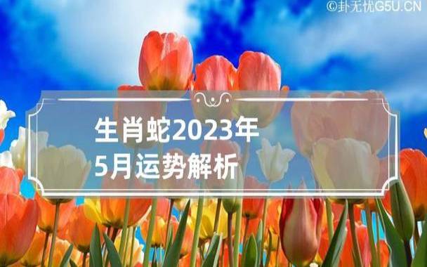 生肖蛇2023年运势如何 生肖蛇2023年运势如何