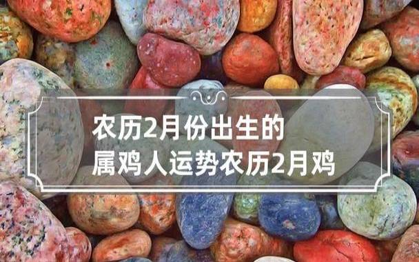 生肖属鸡今年几岁,几月出生的属鸡人命苦 生肖属鸡今年几岁,几月出生的属鸡人命苦