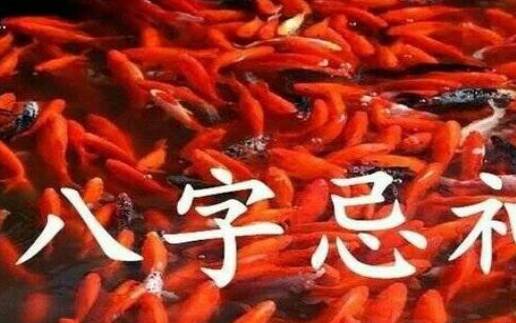 丙火生于丑月 丙火生于丑月