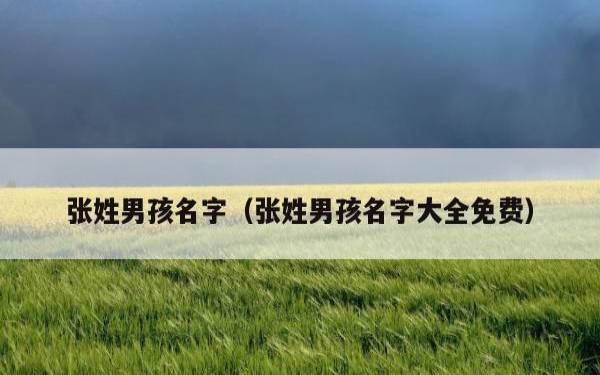 生辰八字起名大全100