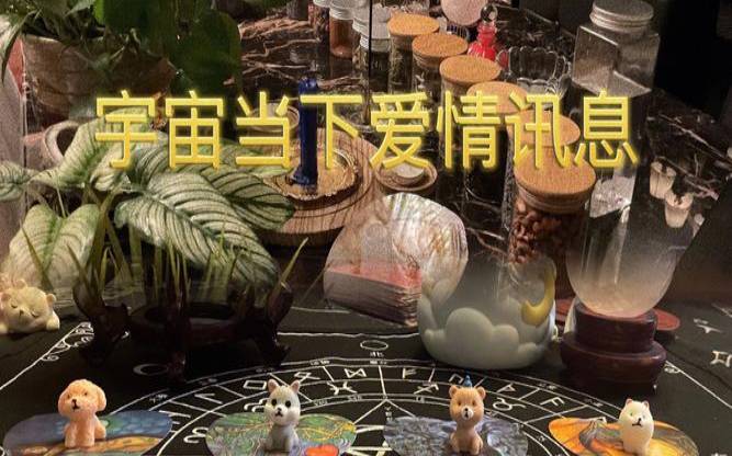 塔罗占卜,十七运势播报分享合集 塔罗占卜,十七运势播报分享合集