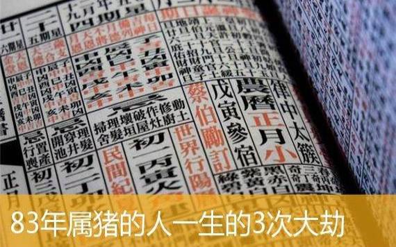 属猪未来三年运势大揭秘,属猪人未来三年运势如何 属猪未来三年运势大揭秘,属猪人未来三年运势如何