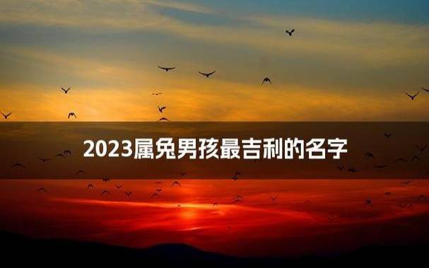 2023年属兔起名字男孩,男宝吉利大气的名字 2023年属兔起名字男孩,男宝吉利大气的名字