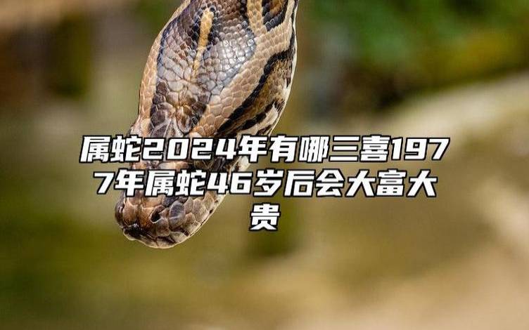 属蛇人2024年9月运势