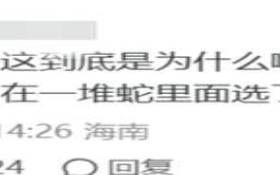 梦见捉蛇 梦见捉蛇
