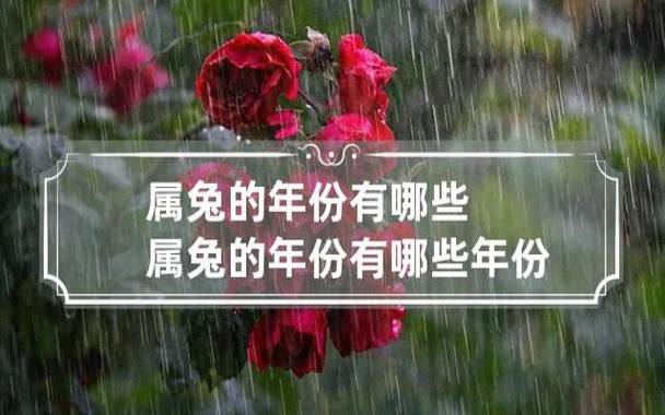 属兔的出生年份有哪些，分析属兔的不同年份命运