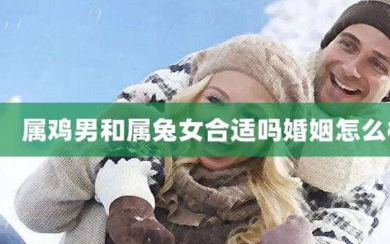 生肖男鸡和生肖女牛的爱情