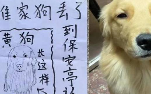 梦见被大黄狗咬