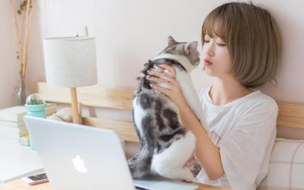 海百合12星座塔罗牌运势，2018／3／16