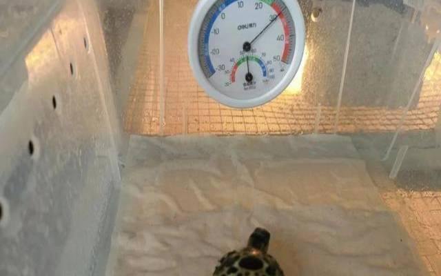 生于正月初六的宝宝小名,可爱暖心的宝宝小名分享 生于正月初六的宝宝小名,可爱暖心的宝宝小名分享