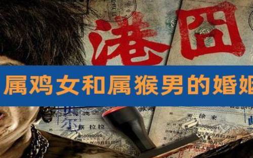 属羊跟属鸡相配吗,属羊和属鸡的婚配指数 属羊跟属鸡相配吗,属羊和属鸡的婚配指数