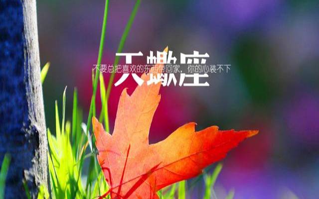 天蝎座的人怎么样