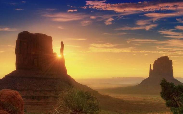 梦见野猪攻击我 梦见野猪攻击我