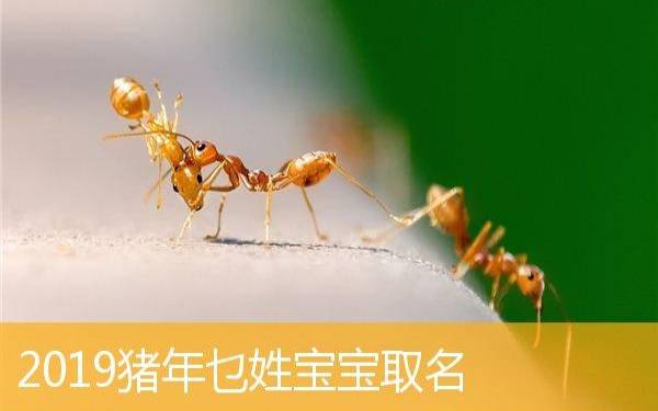 姓乜的名人 姓乜的名人