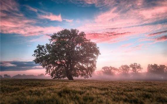 梦见仙女飘舞于天空 梦见仙女飘舞于天空