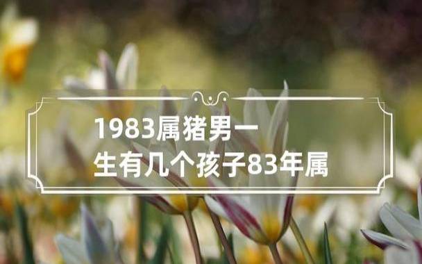 1983年属什么生肖,83年属猪出生命运分析 1983年属什么生肖,83年属猪出生命运分析