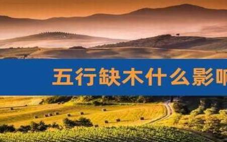 五行属木的人命理缺什么