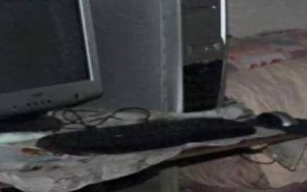 梦见自己杀老婆 梦见自己杀老婆