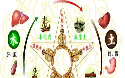 公司名字木金五行，简单易懂的名称