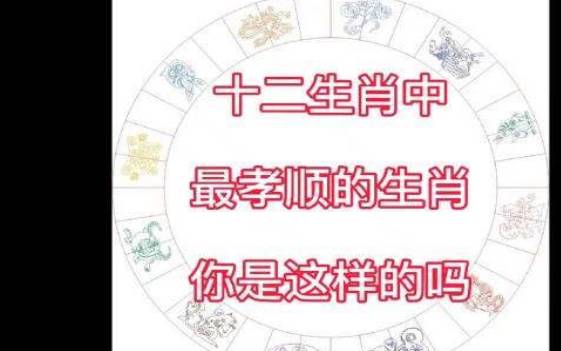 生辰八字喜木的男孩名字,简单顺口的男宝宝名字推荐 生辰八字喜木的男孩名字,简单顺口的男宝宝名字推荐