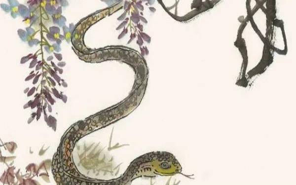 1953年属什么属相，1953年的蛇今年有灾难吗