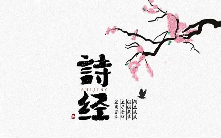 诗经中大气的公司名字，起名从产品和行业出发