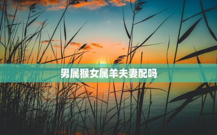 生肖男鸡和生肖女羊的爱情 生肖男鸡和生肖女羊的爱情