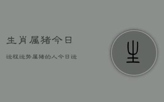 1983年属猪男2025年全年运势 1983年属猪男2025年全年运势