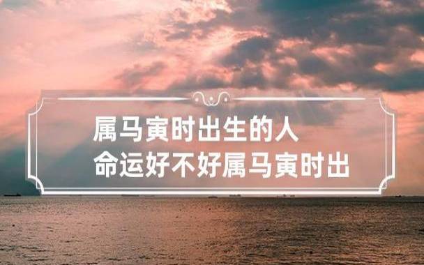 从出生时间看马一生命运