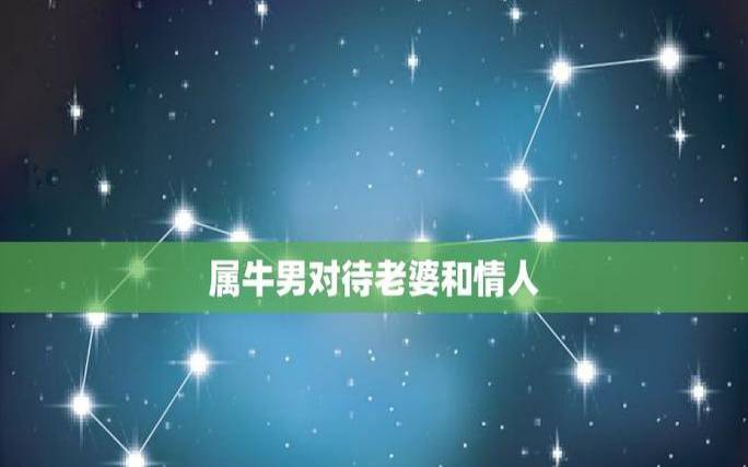 最会宠爱情人的星座男