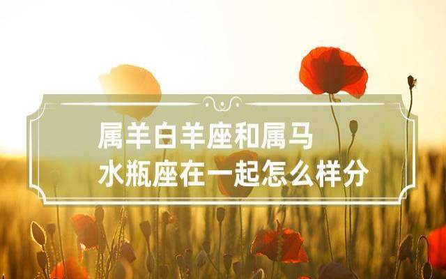属马白羊座2024年运势 属马白羊座2024年运势