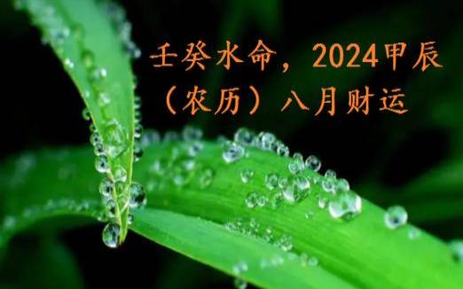 水命的人适合做什么买卖 水命的人适合做什么买卖
