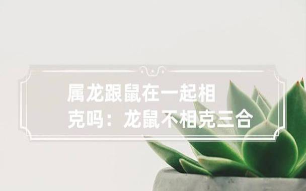 属龙和什么属相相冲，盘点属龙与哪些属相相克