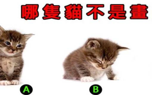 测试你的就业缺点在哪里 测试你的就业缺点在哪里