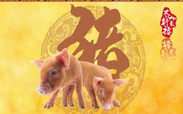 2023年1月2日属猪人运势 2023年1月2日属猪人运势