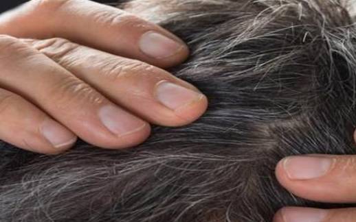 梦见长瘤 梦见长瘤