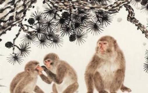 猴年是哪年出生的,生肖猴的性格和脾气分析 猴年是哪年出生的,生肖猴的性格和脾气分析