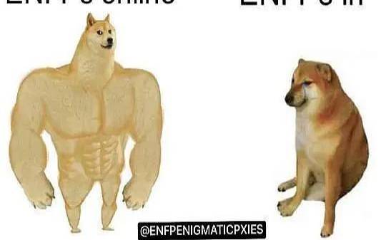 enfpa最适合的伴侣,enfpa和什么人格配 enfpa最适合的伴侣,enfpa和什么人格配