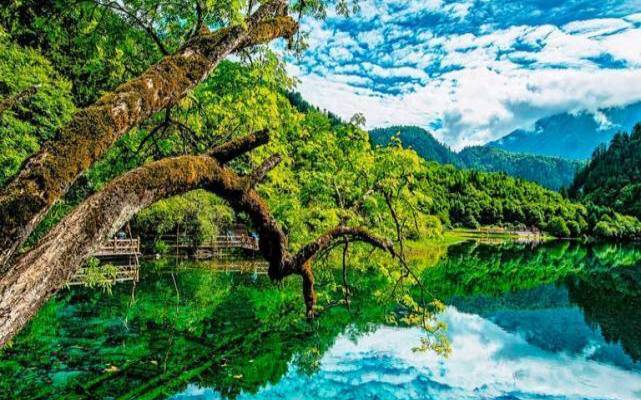 属猴的贵人在哪一个方向,2019年属猴的人开运方位在哪 属猴的贵人在哪一个方向,2019年属猴的人开运方位在哪