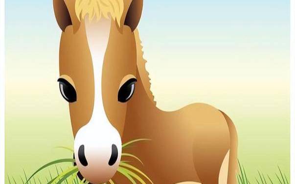 属马人必看，最配对的生肖