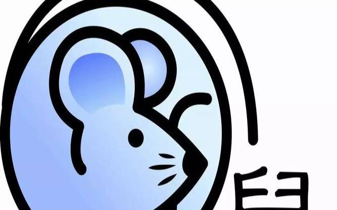生于正月初四的男孩小名,文艺可爱的宝宝小名分析 生于正月初四的男孩小名,文艺可爱的宝宝小名分析