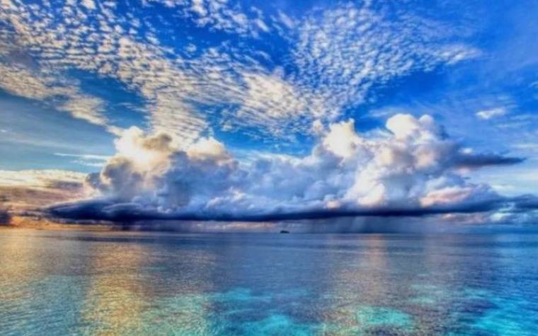 白羊座排毒的瘦身方法